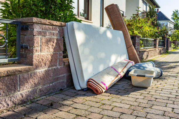 Yard Cleanup Services in Amsterdam, NY